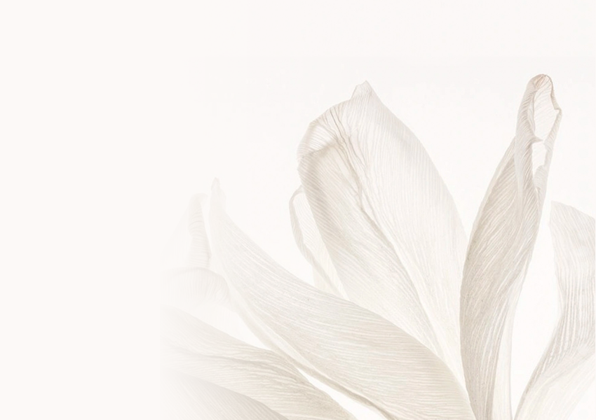 Set ng Bote ng Pabango